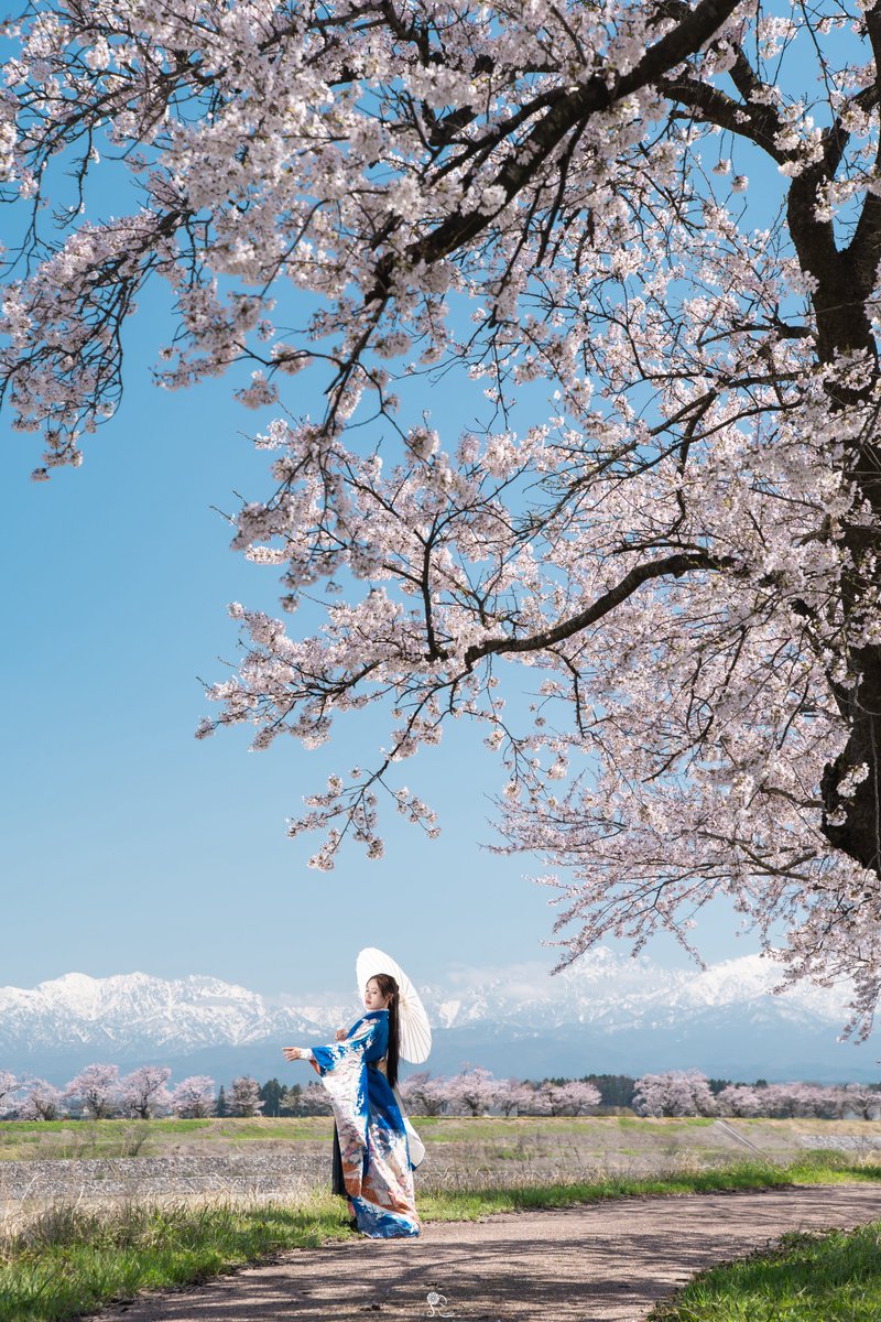 rina_k_photo's tweet image. 北陸の春は美しい。

#selfportrait