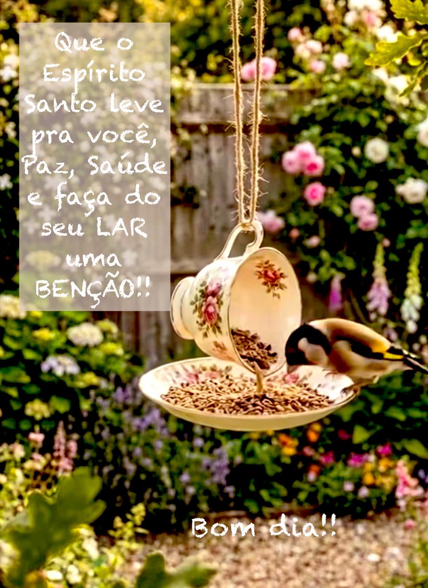 Marcelo de Marco tweet media