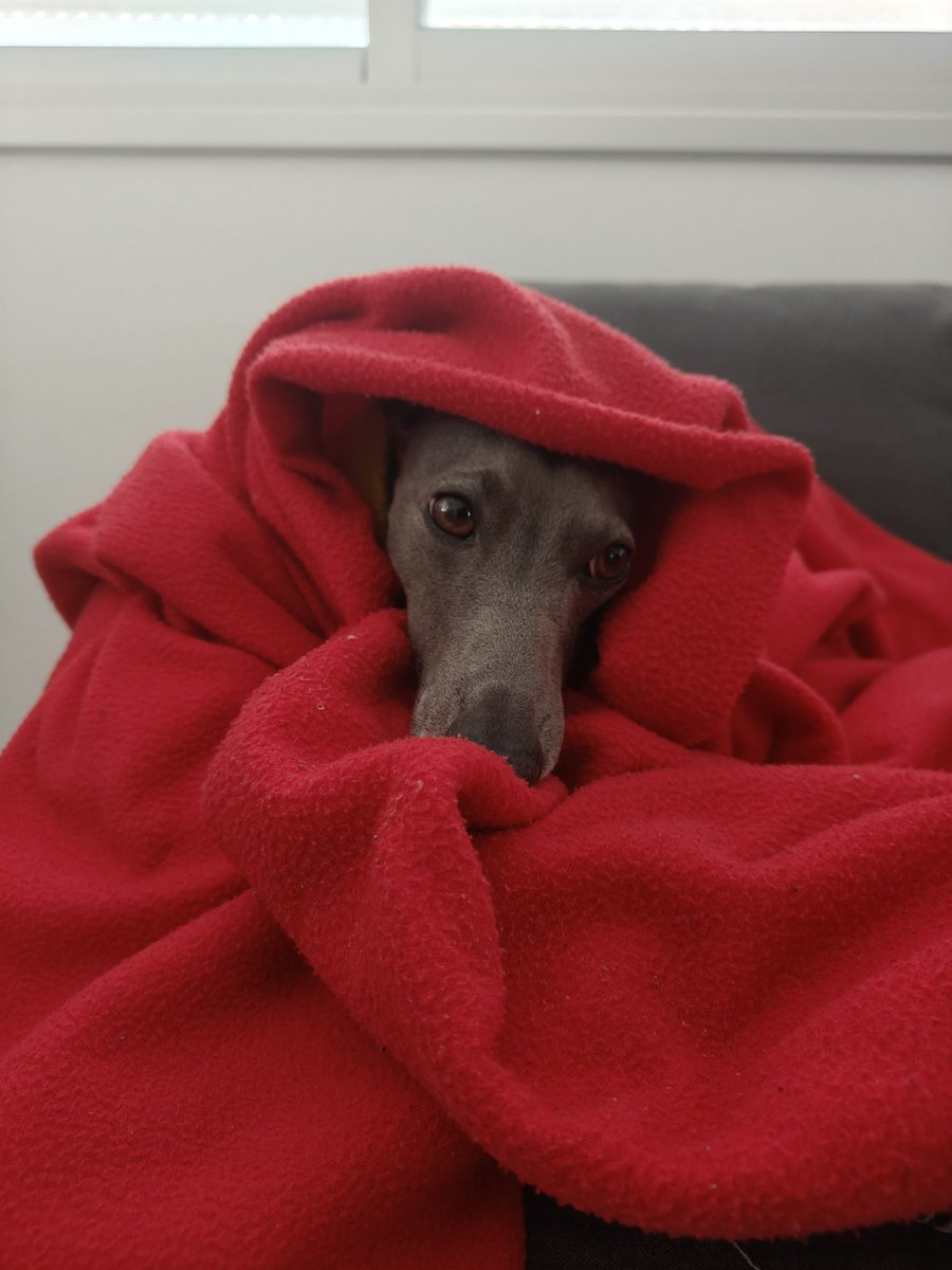 Andrei /\\ Moiseenko tweet media