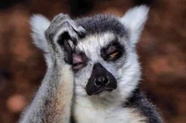 Mayor Of Mash West🦍 tweet media