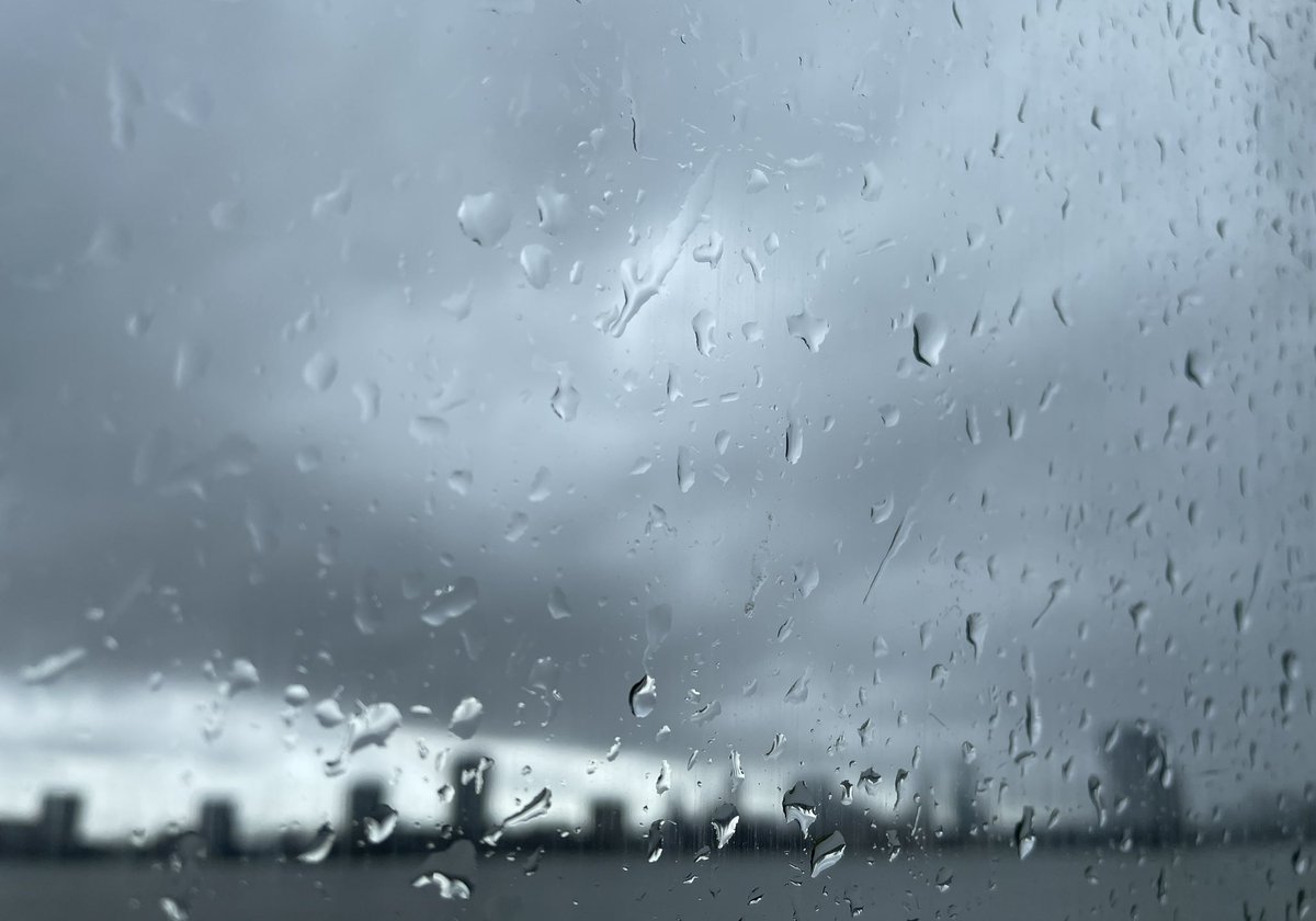 Marjolijn vd Assem tweet media