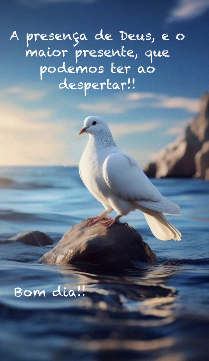 Marcelo de Marco tweet media