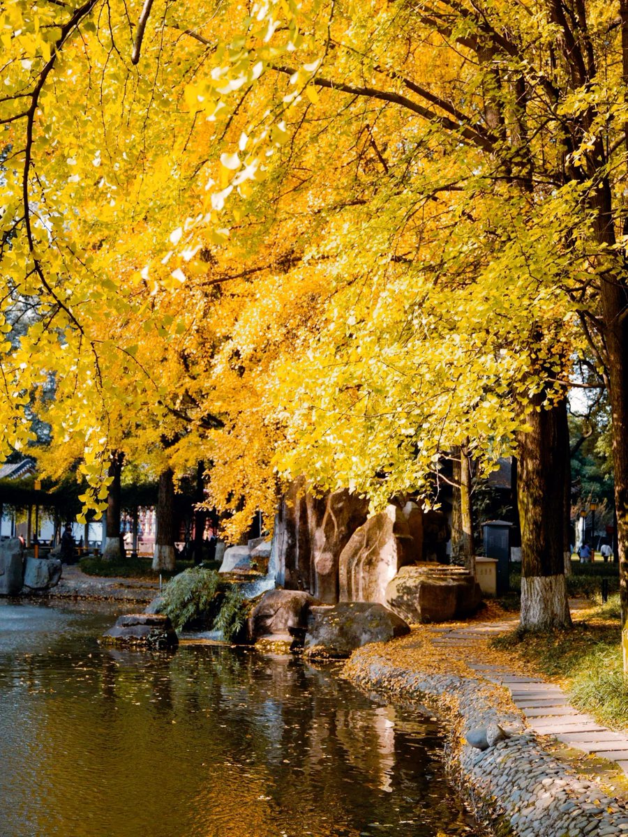 Scott Small tweet media