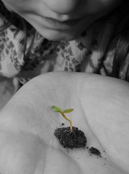 Whispers tweet media