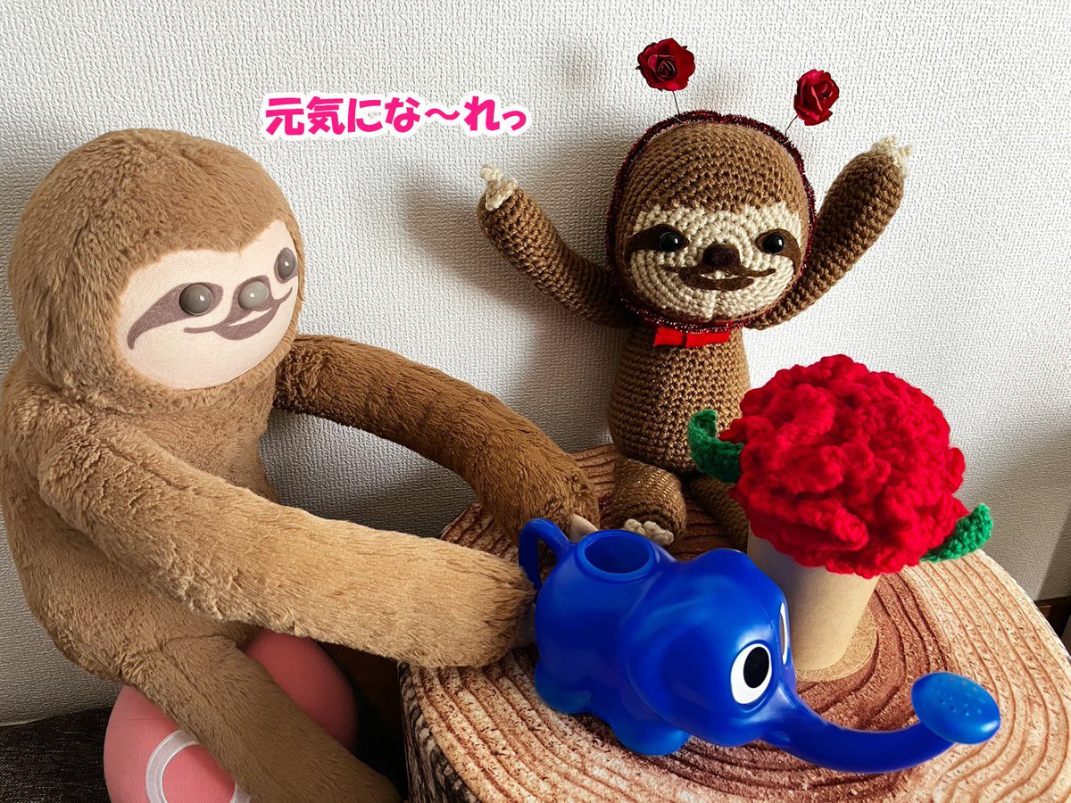 あるふぁんと水やり🦥🌧️
#悪の花🌹

今週末からの大阪公演。
お花にお水をあげながら、まってるぷら。
きっとまた、きれいに咲くぷらね🐾🪷🌟