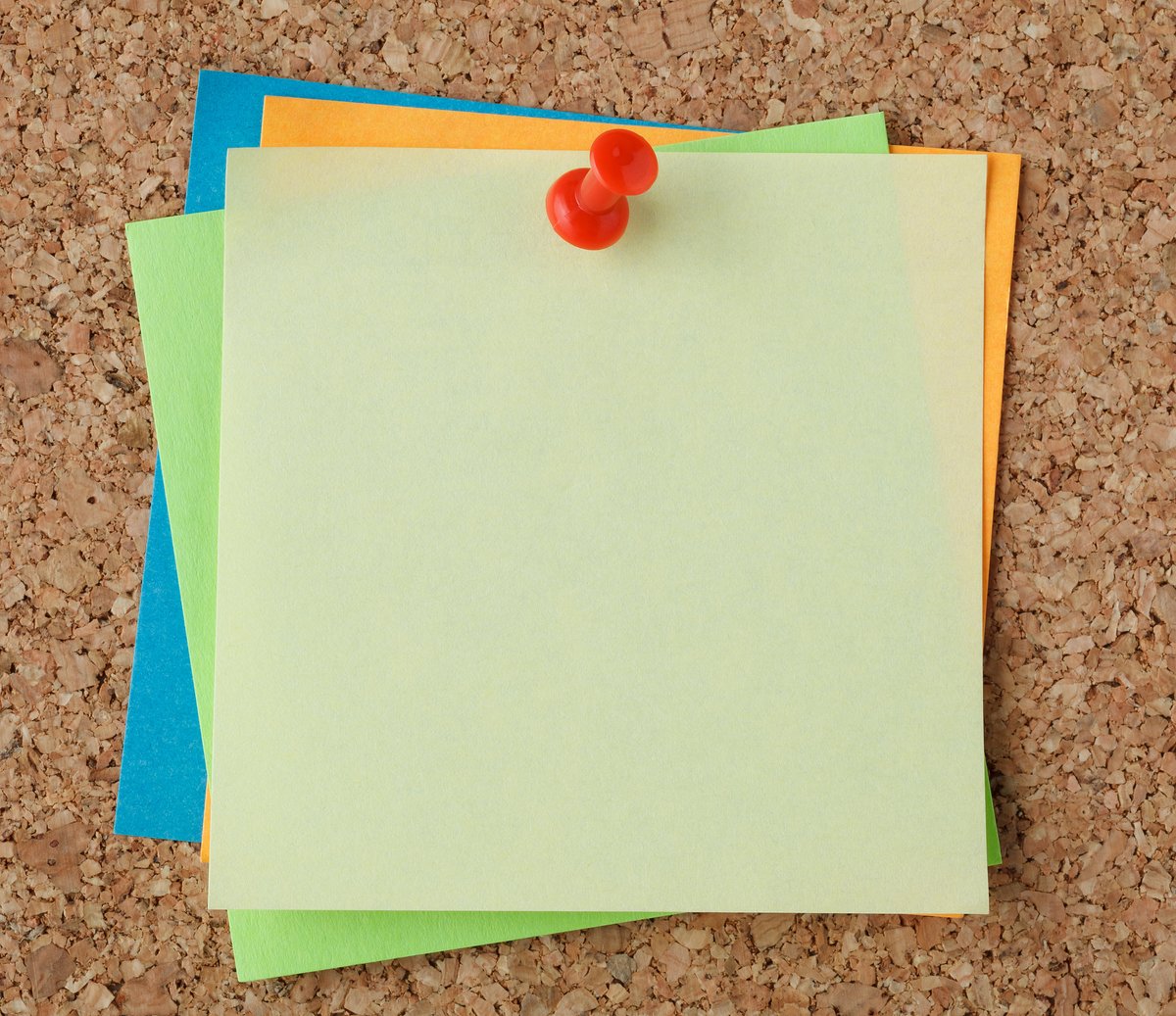 Brandyn Snow tweet media