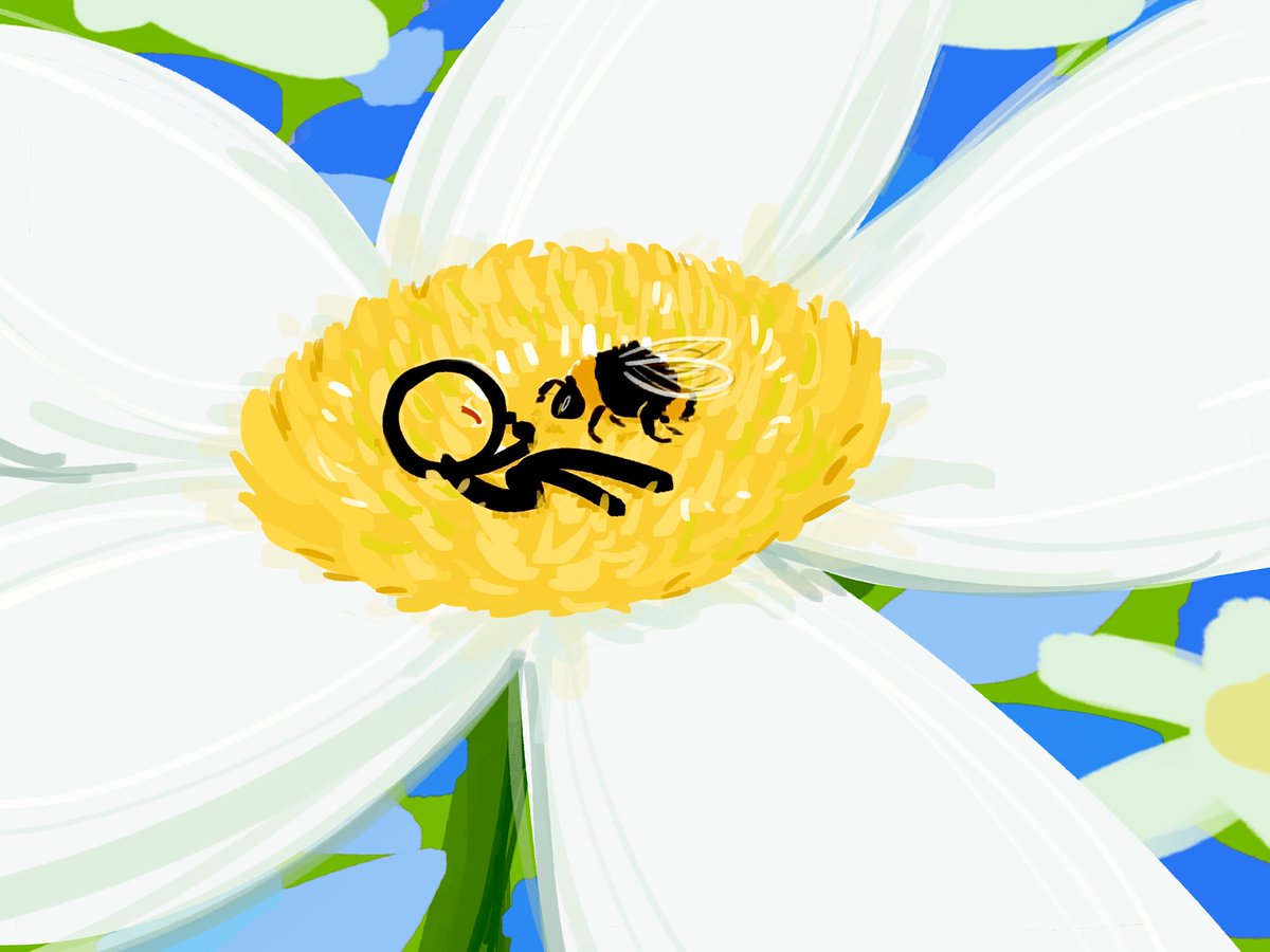 dale_WNDXd tweet media