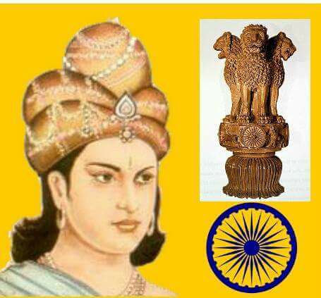 TheWiseCritic tweet media