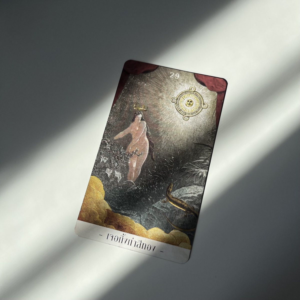 soin.tarot 🪷 tweet media