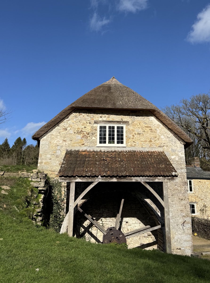 Barbara🦕 tweet media