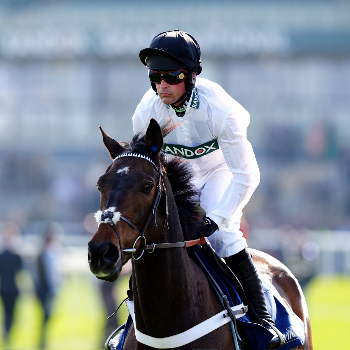 Daniel James Racing 🐎 tweet media