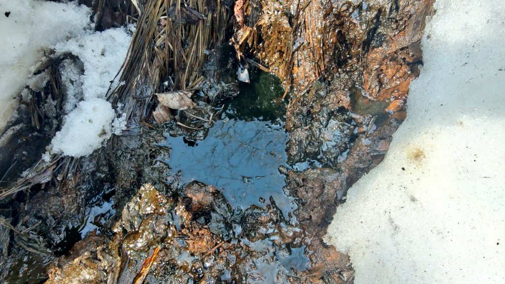 内山ケイ tweet media