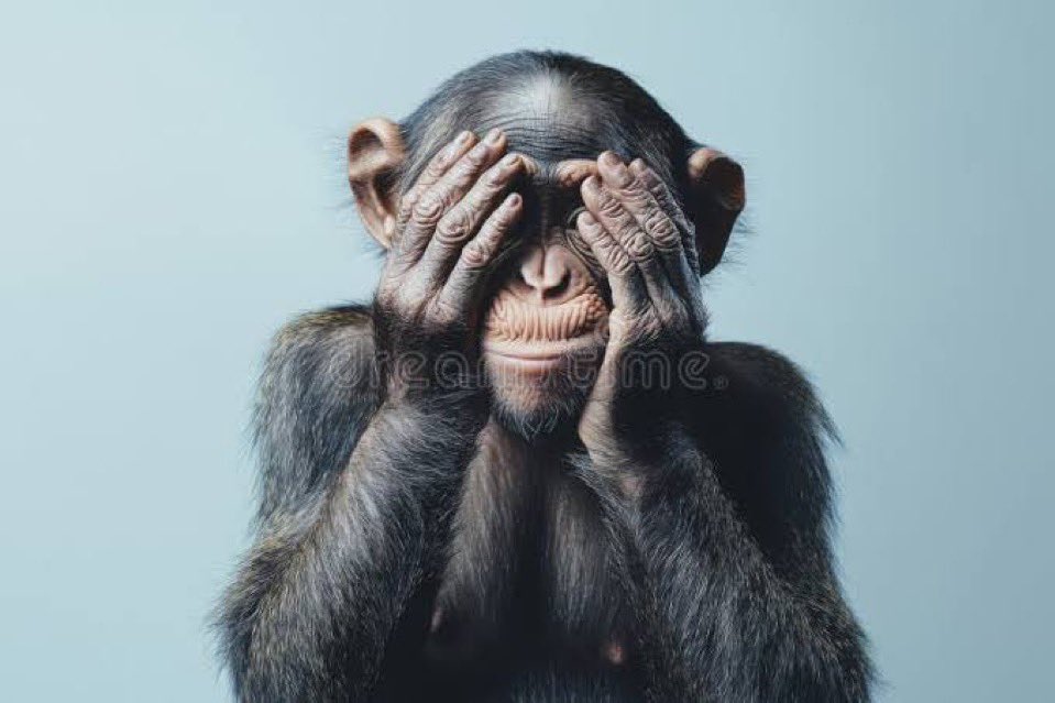 Atwooki ❤️ 💙 tweet media