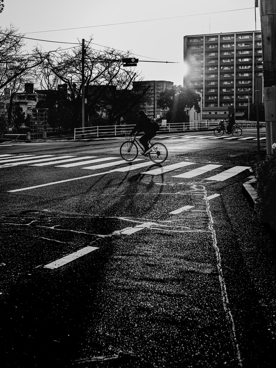 小野川 周水 tweet media