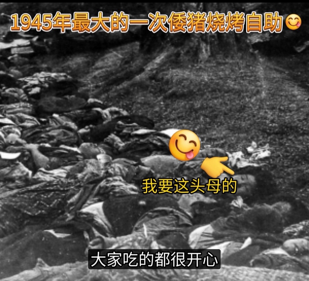 广岛第一杀手 tweet media