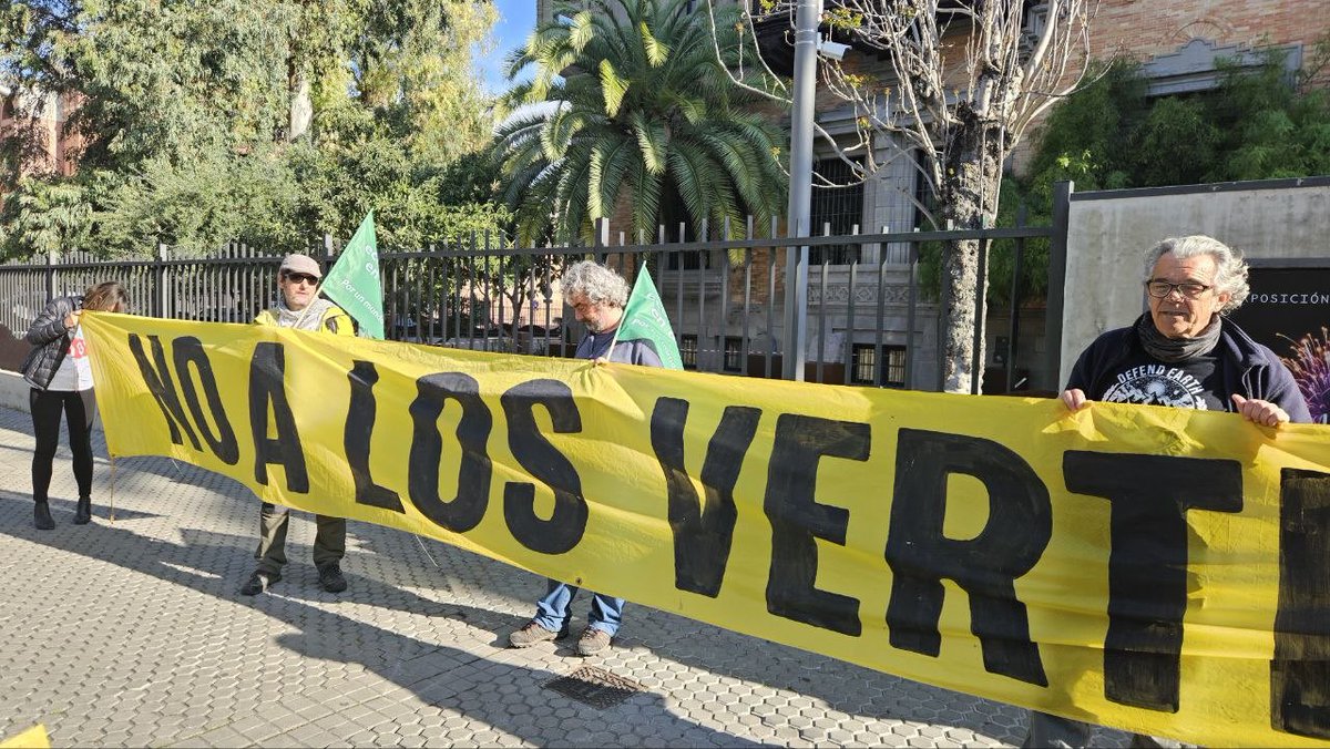 Susana Hornillo tweet media