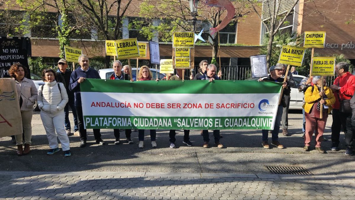 Susana Hornillo tweet media