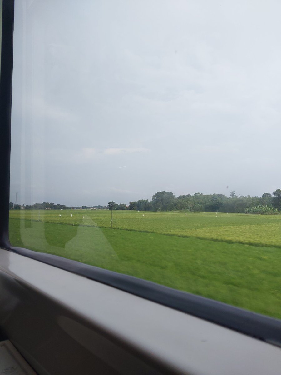 Mawar merah🌹 tweet media