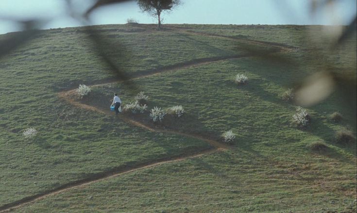 Firdous Ahmad Lone tweet media