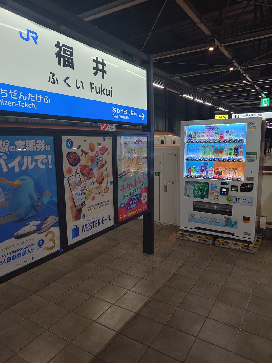 🐥CHELSEA🐥 tweet media