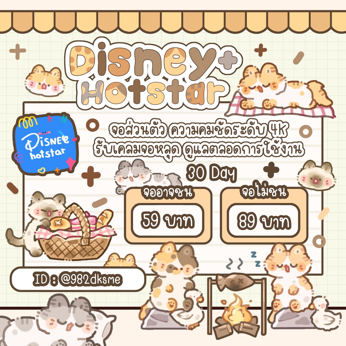 🐈 CatEasy | น้องแมวจัดให้พร้อมส่งหน้าแอค ! tweet media