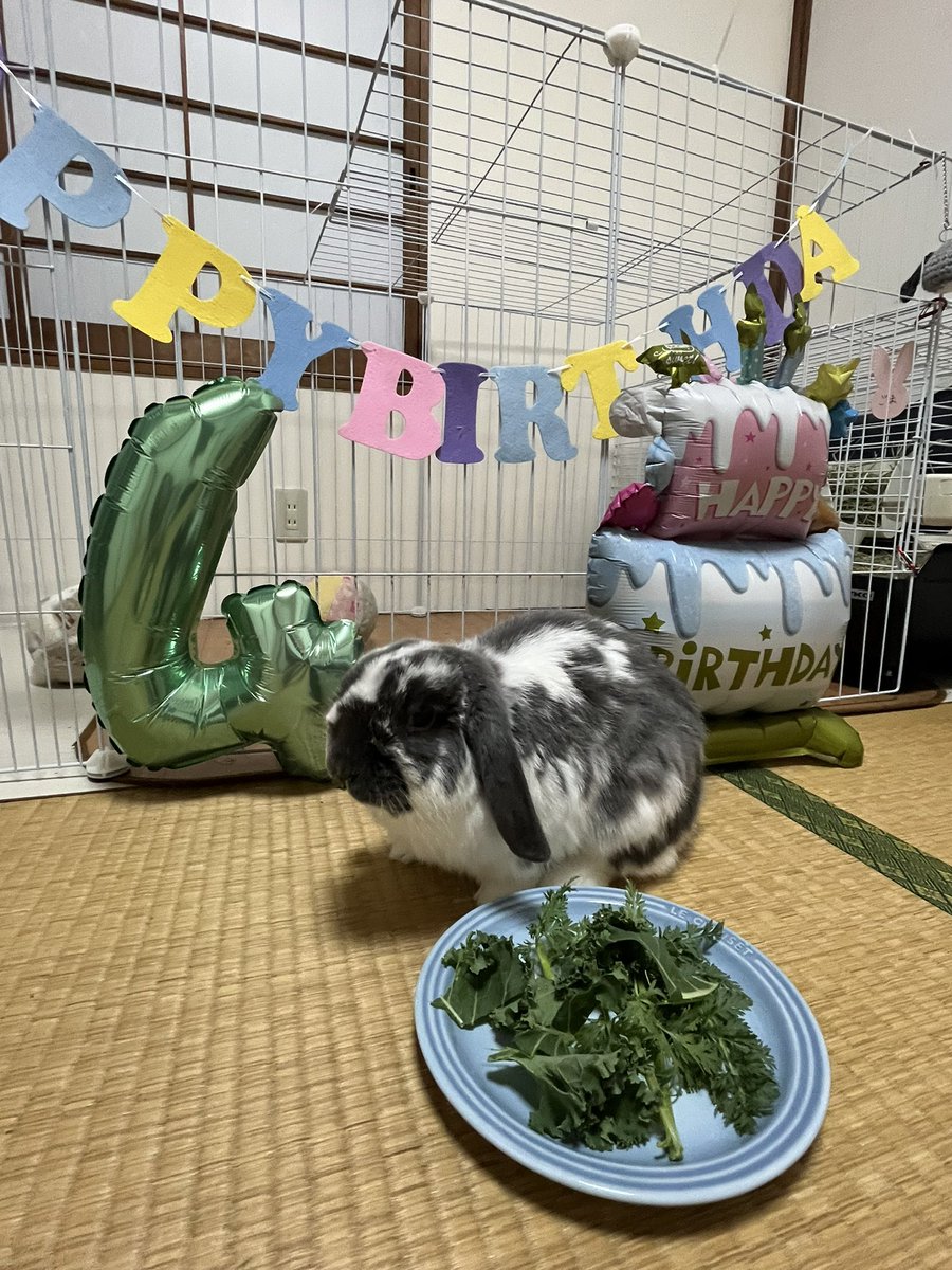 ごまのママ tweet media