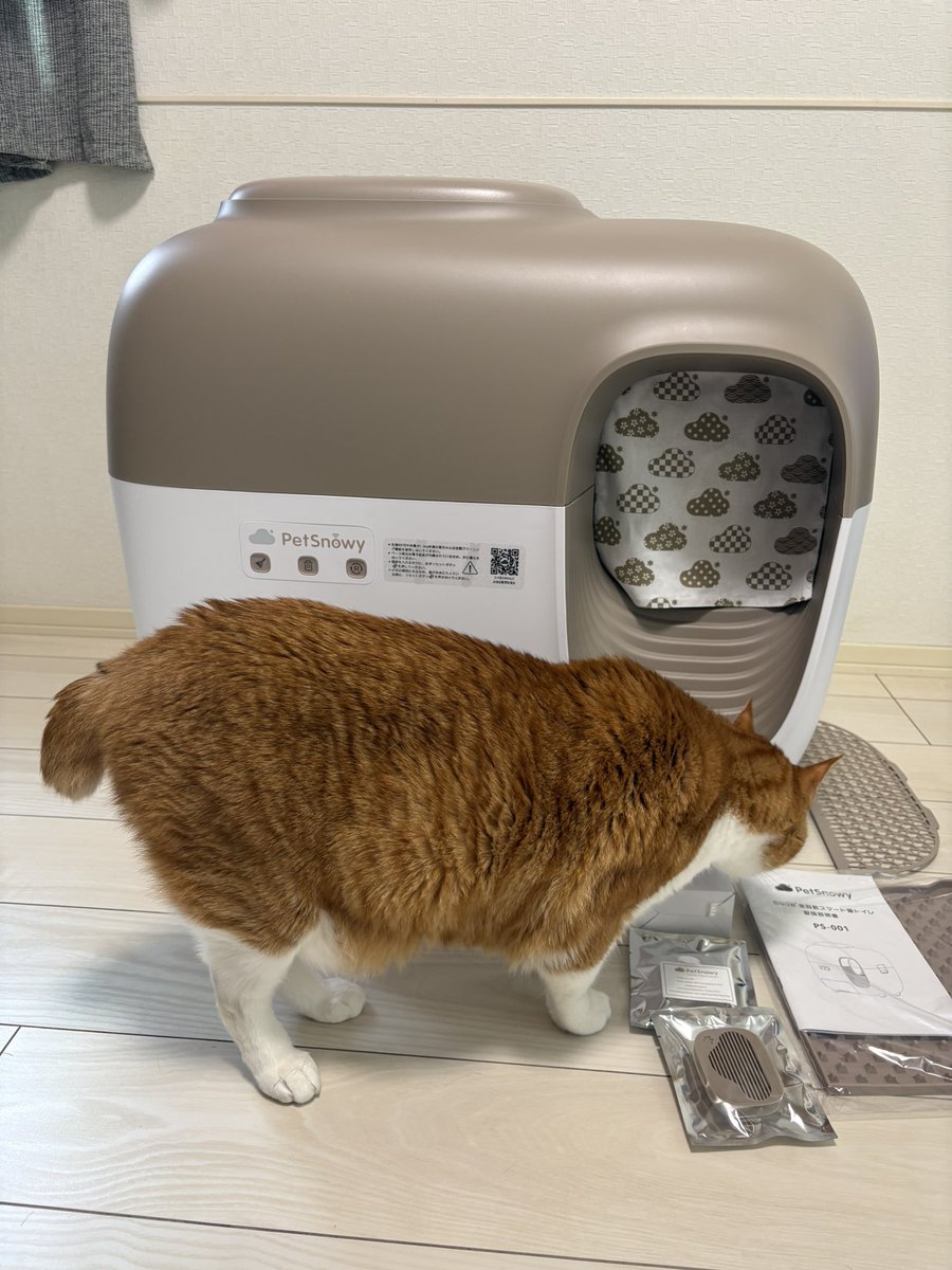 ゆうき tweet media