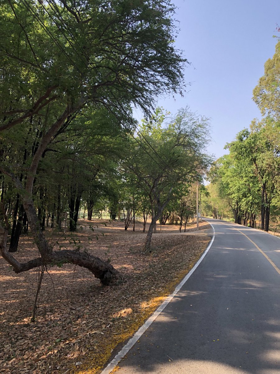 SS PPUUTT tweet media