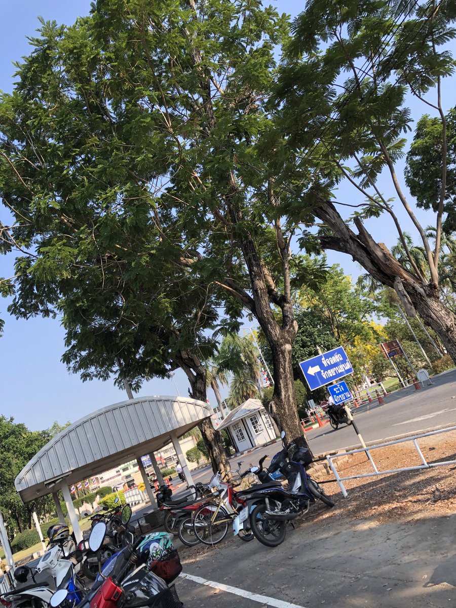 SS PPUUTT tweet media