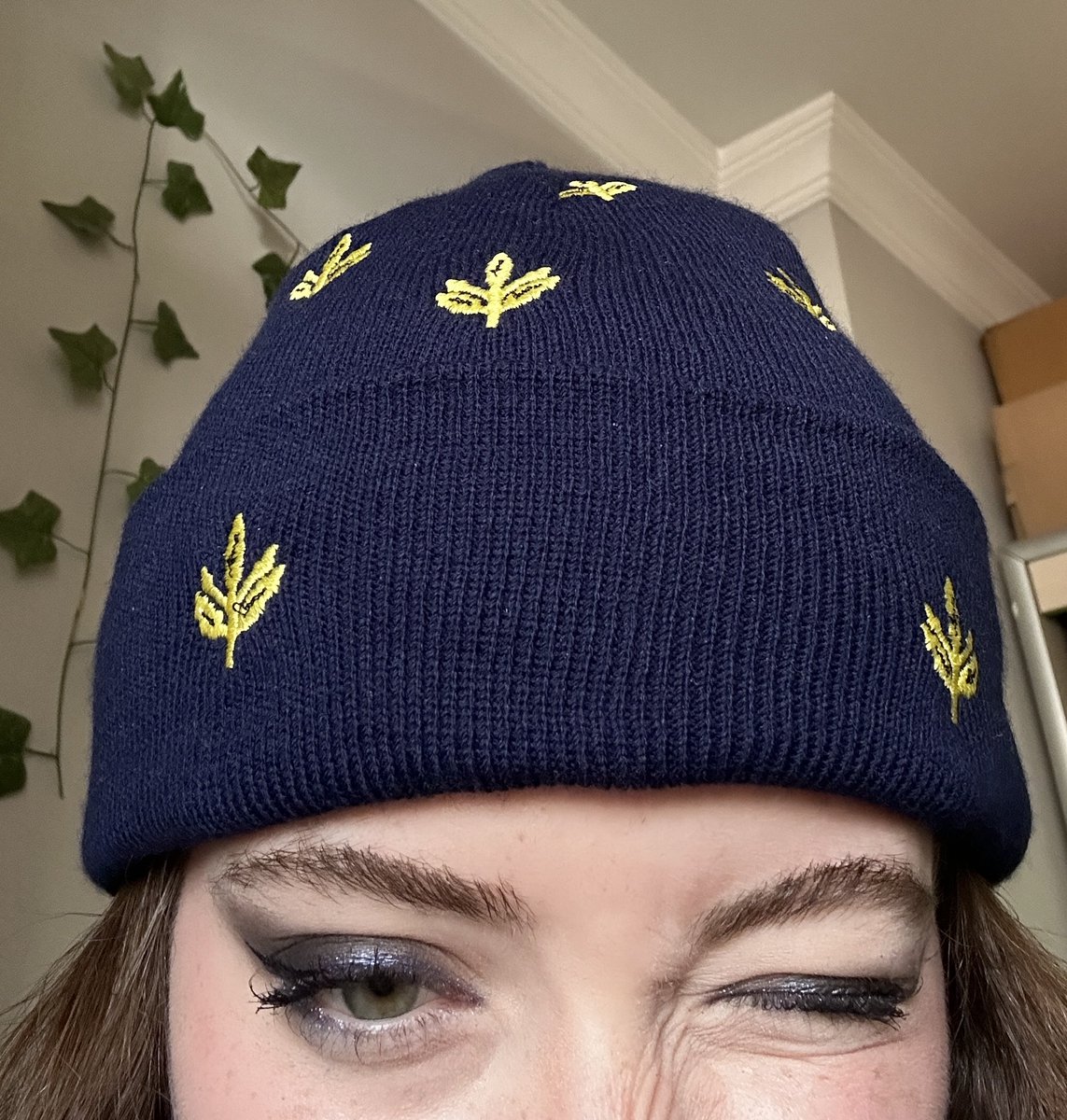 aslı IV tweet media