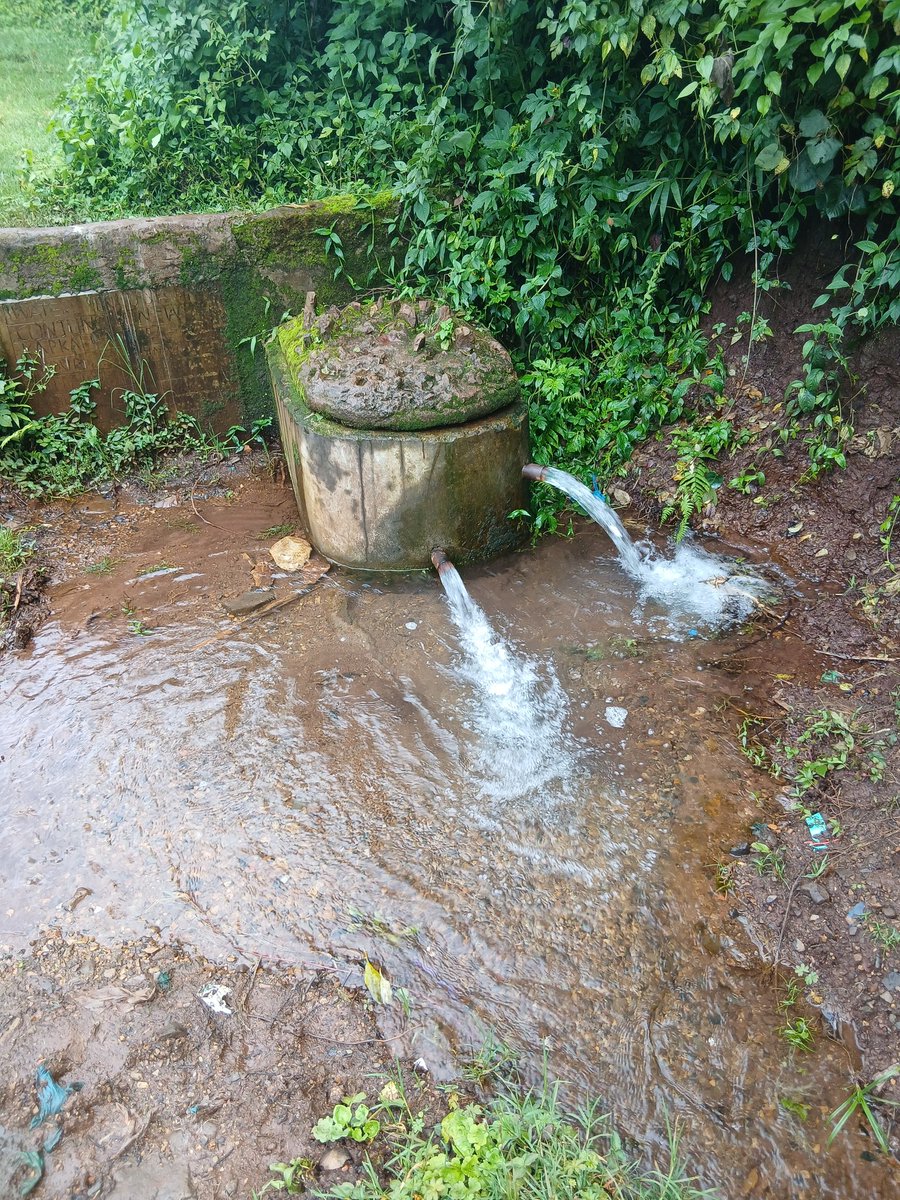 CHEBOSENGERE👑 tweet media