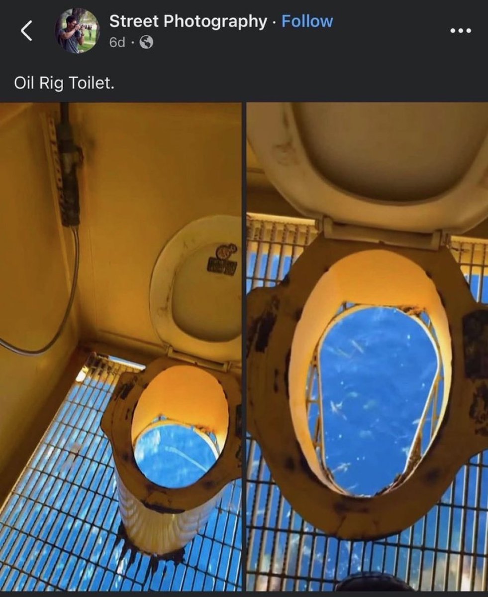 Out of Context Human Race tweet media