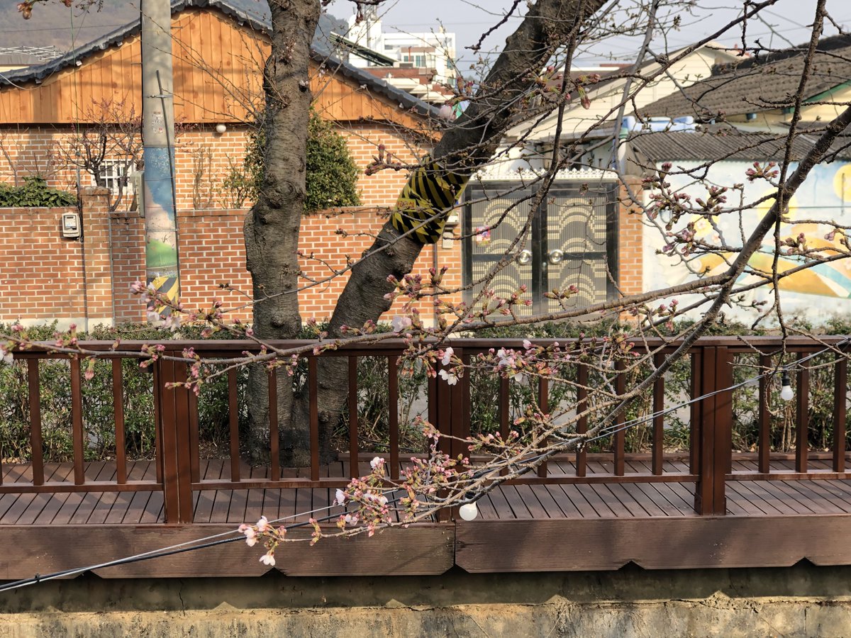 🦋오승용🍎 ⛅️ tweet media