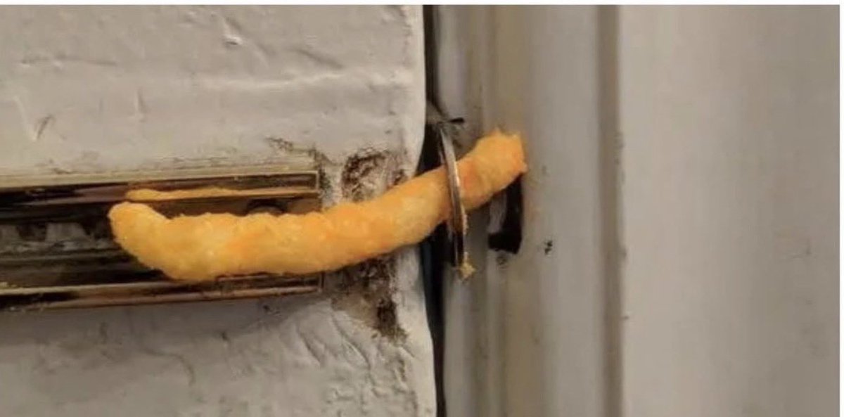 Midas Touch 🐬 tweet media