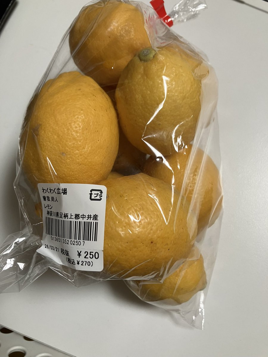 オババ@BBBox・コミケ12/30【東シ‐56b】 tweet media