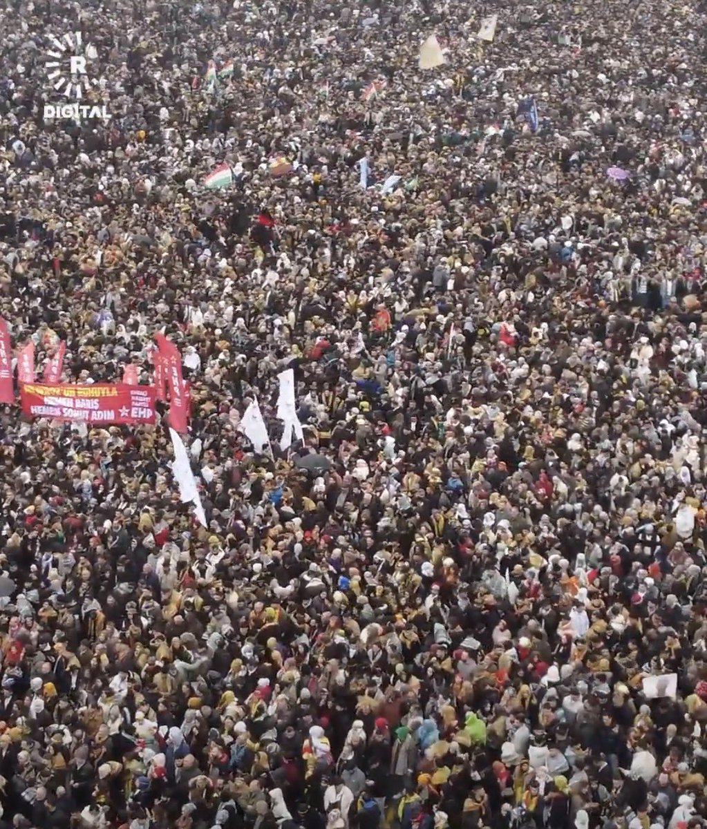 Shahram Mouselchi tweet media