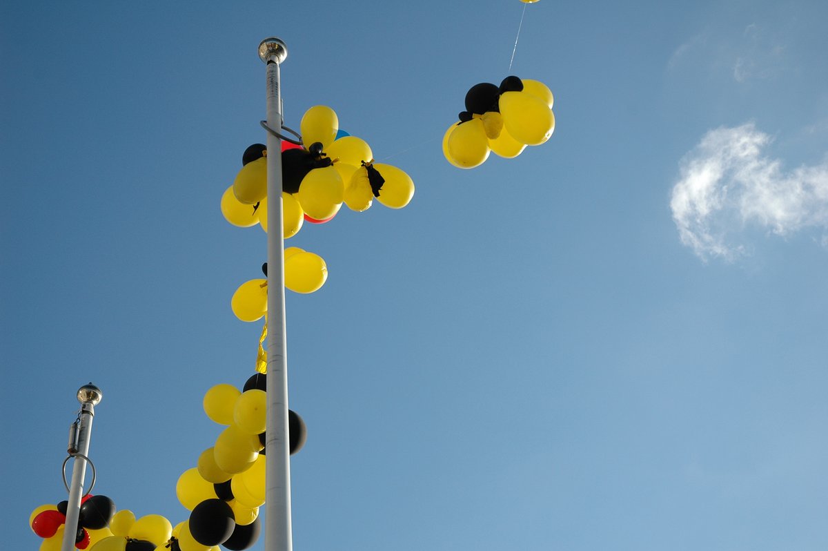 Imarn Alam tweet media