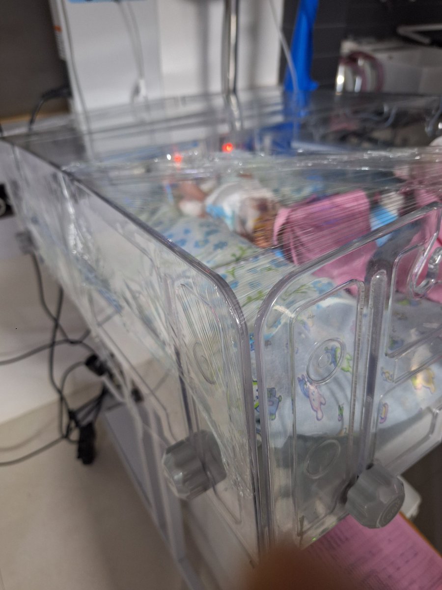 Rhea Liang tweet media