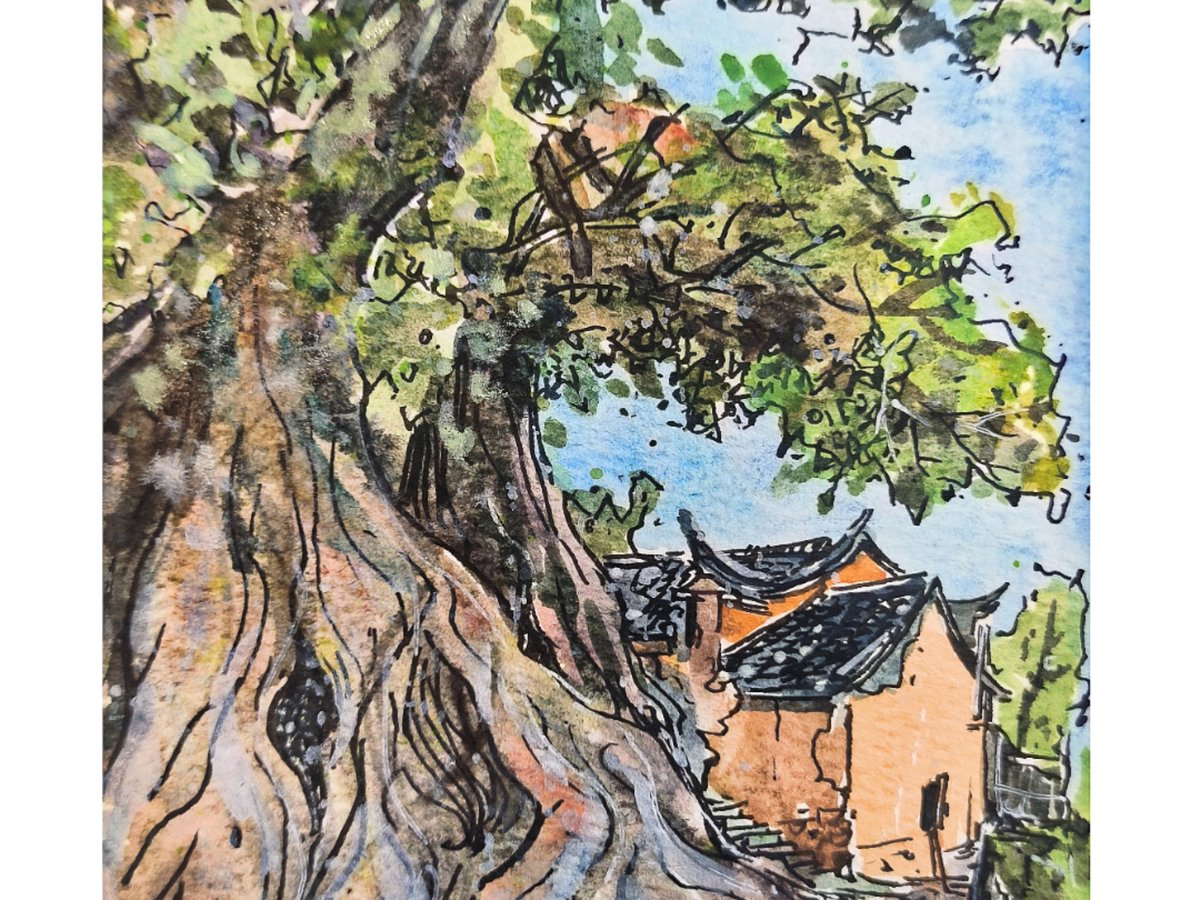 pier sicurella tweet media