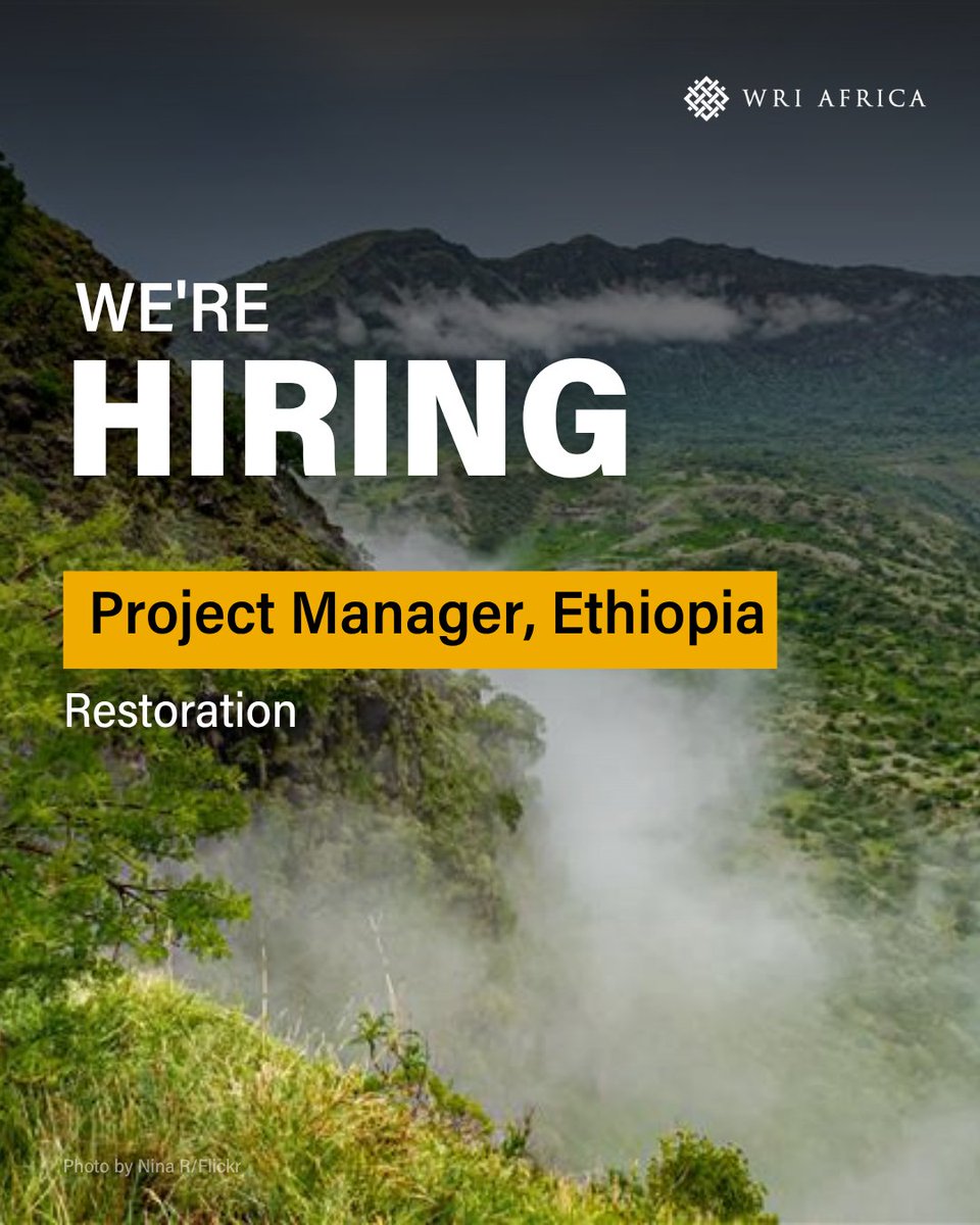 WRI Africa tweet media