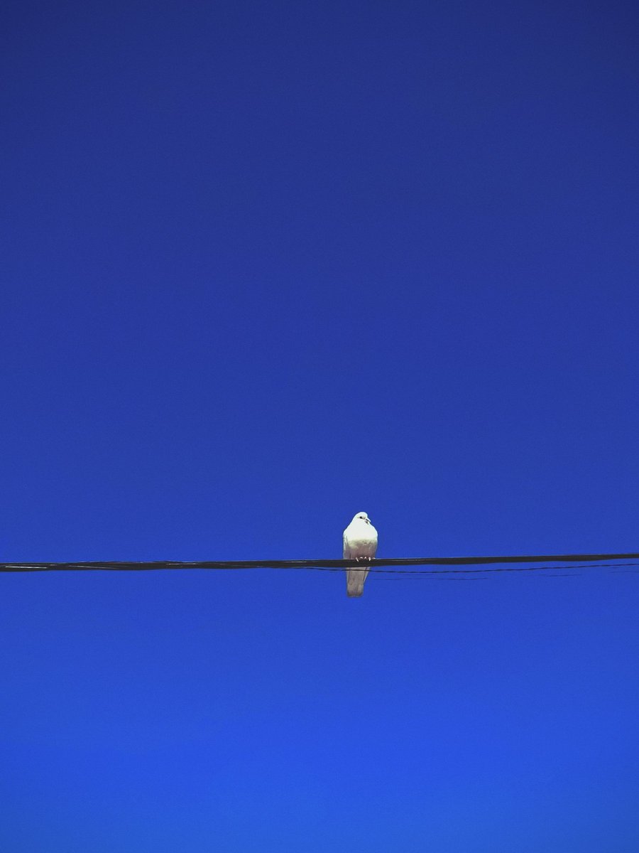 катя персиковые слезы tweet media