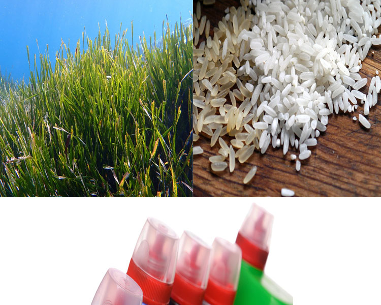 concienciaeco's tweet image. Mobiliario urbano marítimo, público y sostenible a base de posidonia, cáscara de arroz y plástico reciclado
goo.su/j7zb
#medioambiente #reciclaje #posidonia #cáscaradearroz #plásticoreciclado #gestiónderesiduos #mobiliario #mobiliariourbano #ecodiseño #diseñoreciclado