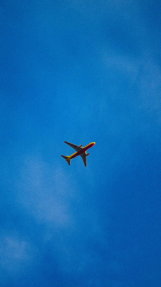 تركي. tweet media