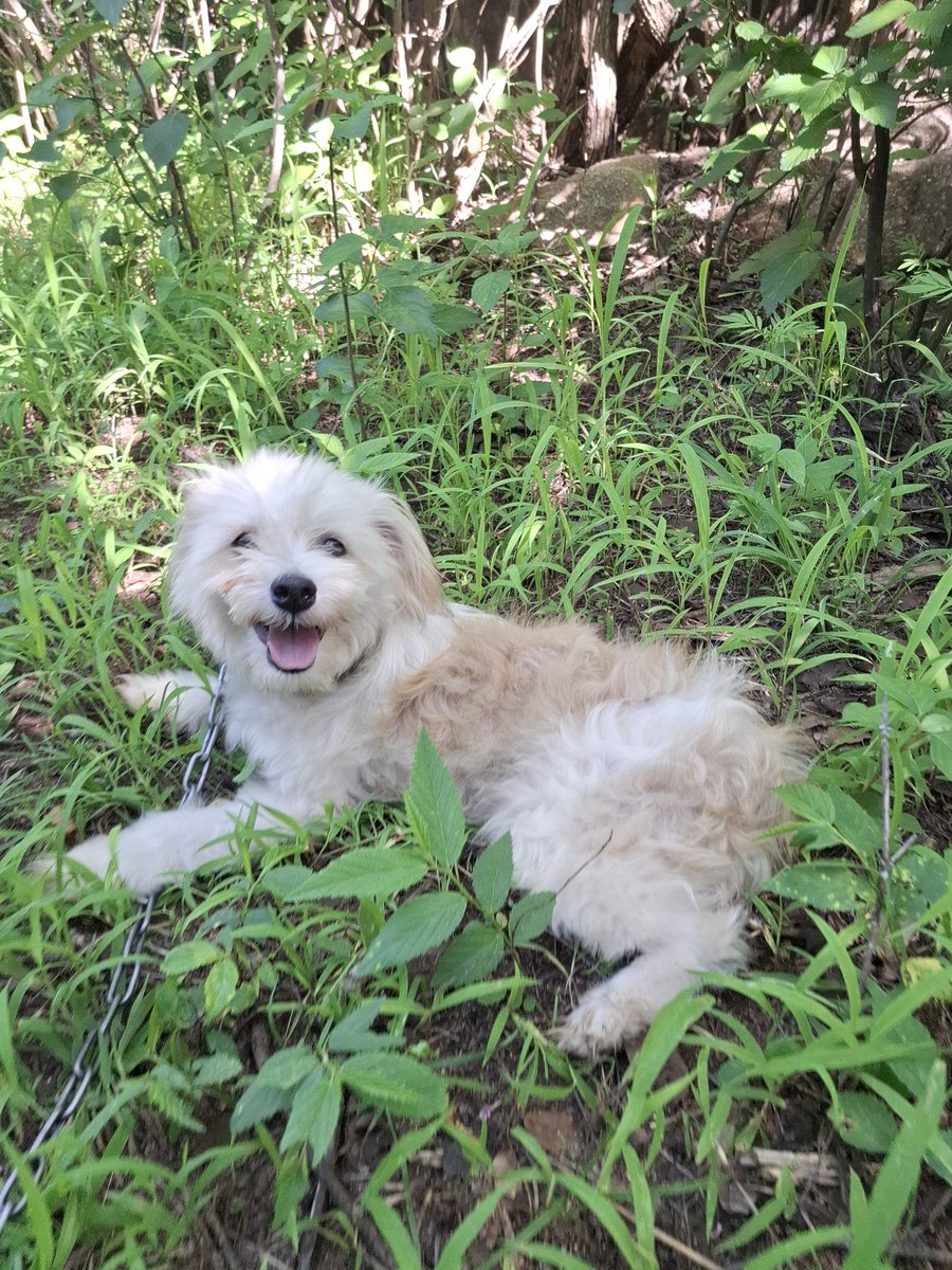 The last born💯 tweet media