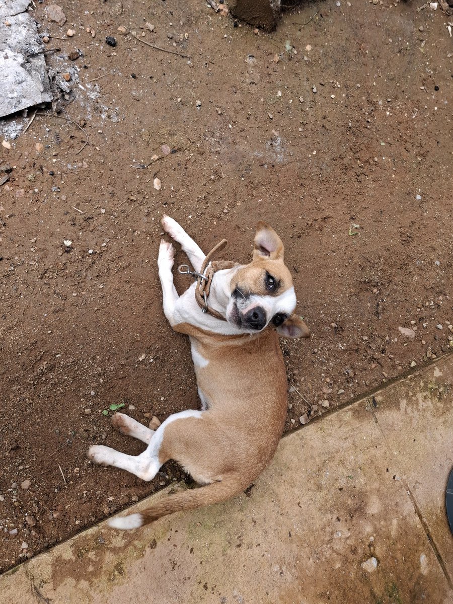 The last born💯 tweet media