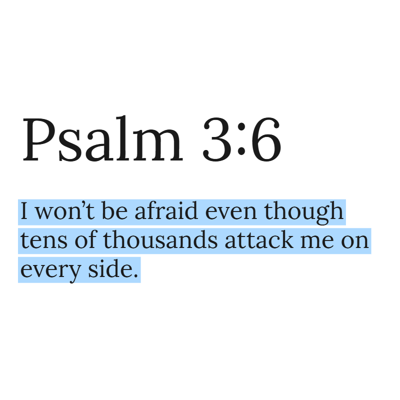 Holy Bible tweet media