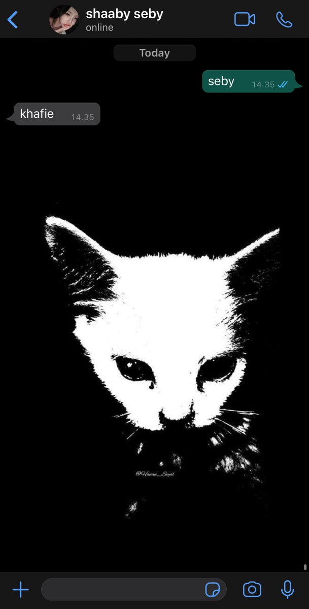 rayie ✿ tweet media