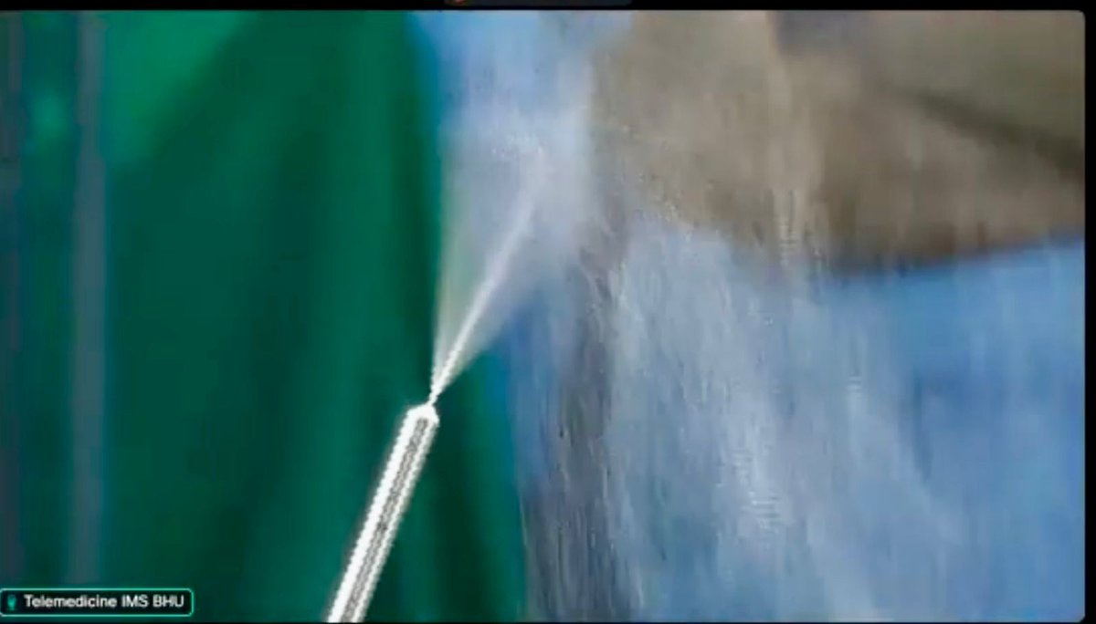 Directorimsbhu tweet media