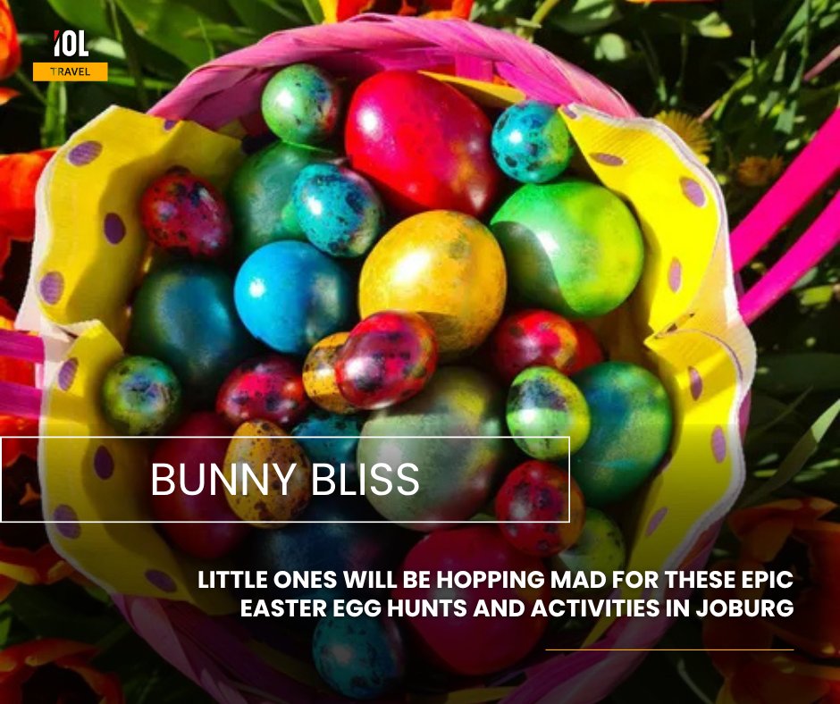 IOLTravel tweet media