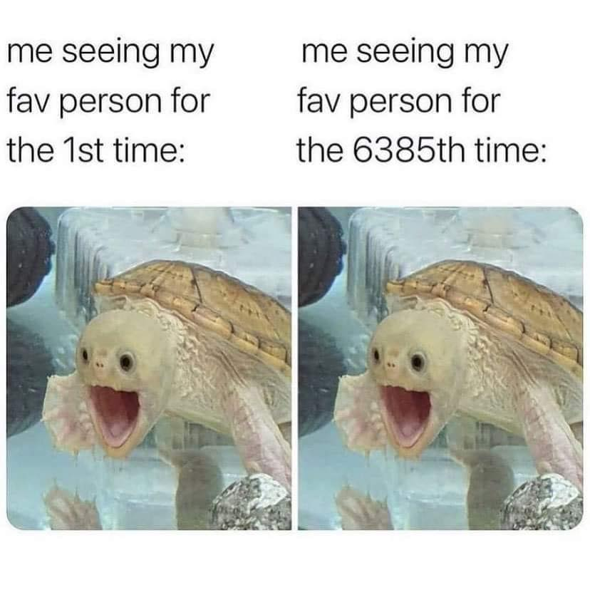 WholesomeMemes tweet media